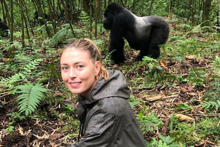 Путешествие Марии Шараповой по Африке – гориллы, гепарды, видео