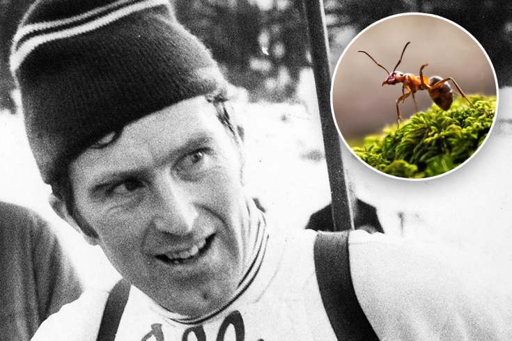 Удивительная история олимпийского чемпиона Сольберга, который тренировался с муравьями